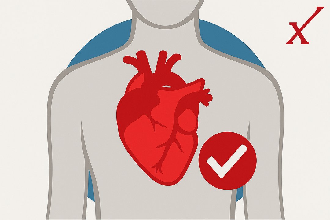 Ein Symbolbild zeigt ein Herz in einem Körper