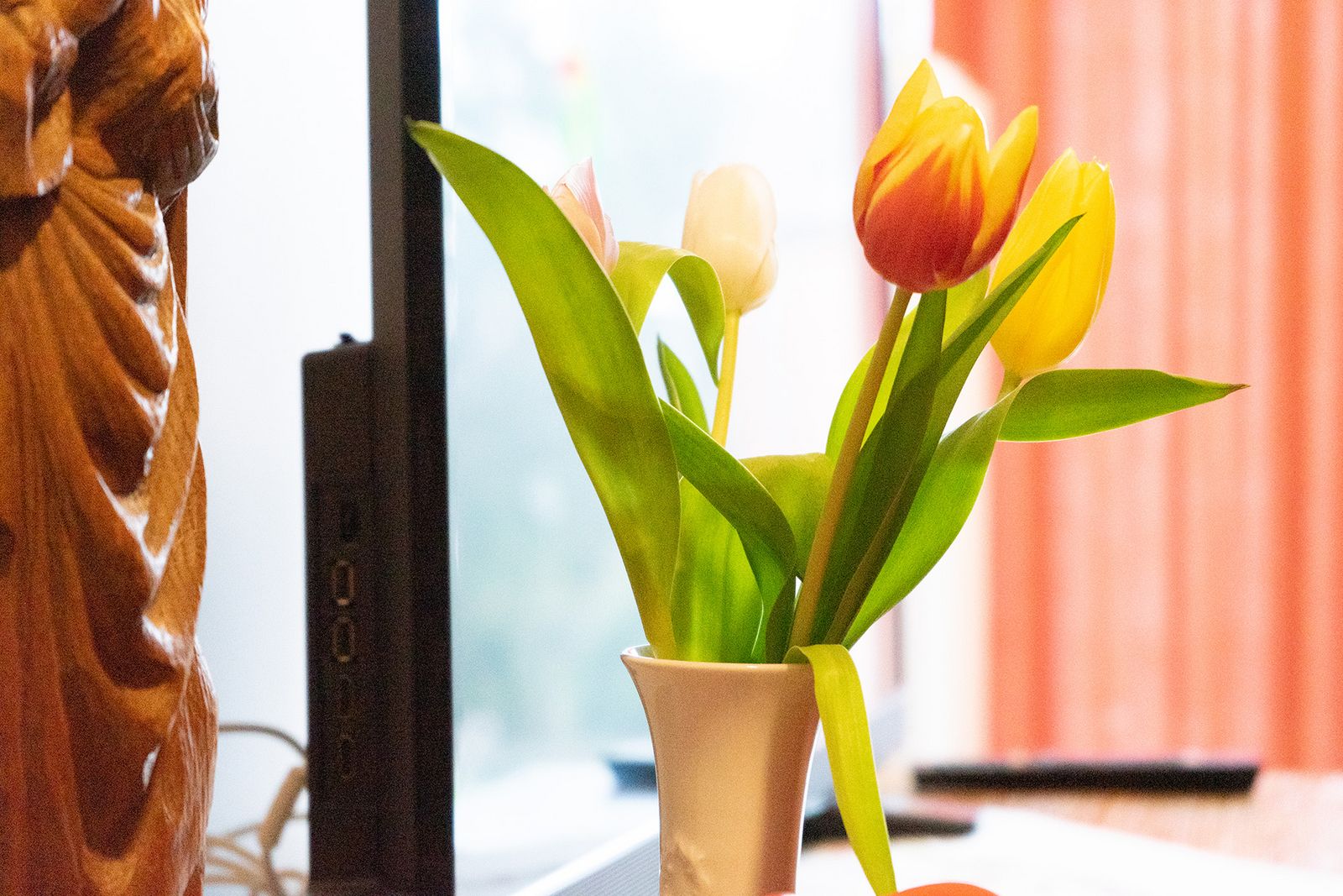 eine Tulpe in einer Vase